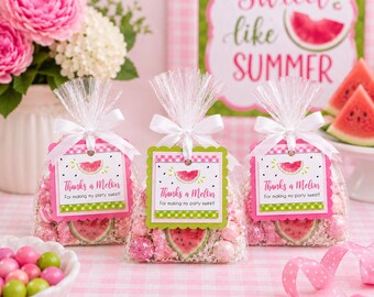Watermelon Party Favors, Birthday Favor Bags, Thanks a Melon Tags, Summer Party Favors