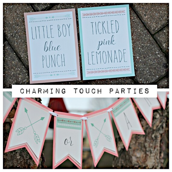 BOWS OR ARROWS Gender Reveal Party Decorations, Tribal, Aztec, Boho Chic Gender Reveal Banner and Drink Signs, Boy Or Girl, Coral and Aqua Il_570xn