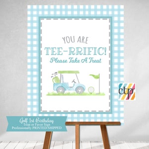 Golf Party Sign, Favor Sign, A Hole In ONE, Golf 1st Birthday Party Decorations, Golf Par-Tee, Blue Gingham, Printed Sign,