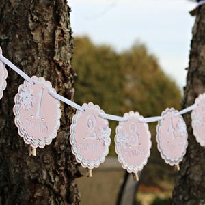 May include: A decorative banner featuring scalloped circular cards in light pink, silver glitter, and white. Each card displays a number from one to six followed by the word month, accented with white snowflake cutouts and small clear rhinestones.