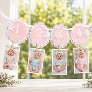 May include: A decorative banner featuring five scalloped pink and silver circular cards labeled 1 through 5 months, each adorned with a snowflake design. Small wooden clips hang from each card, holding individual photographs of an infant.