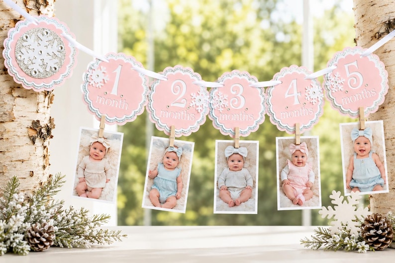 May include: A decorative banner featuring five scalloped pink and silver circular cards labeled 1 through 5 months, each adorned with a snowflake design. Small wooden clips hang from each card, holding individual photographs of an infant.