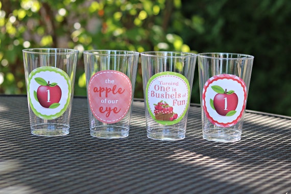 APPLE of our EYE Party Cups Plastic Cups Girl First Birthday Apple Picking Decor Apple Orchard Apple Birthday Decorations Red Gingham Il_570xn