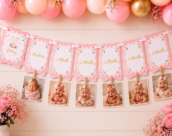 Little Pumpkin Photo Banner | First Birthday Monthly Banner | Baby Photo Garland