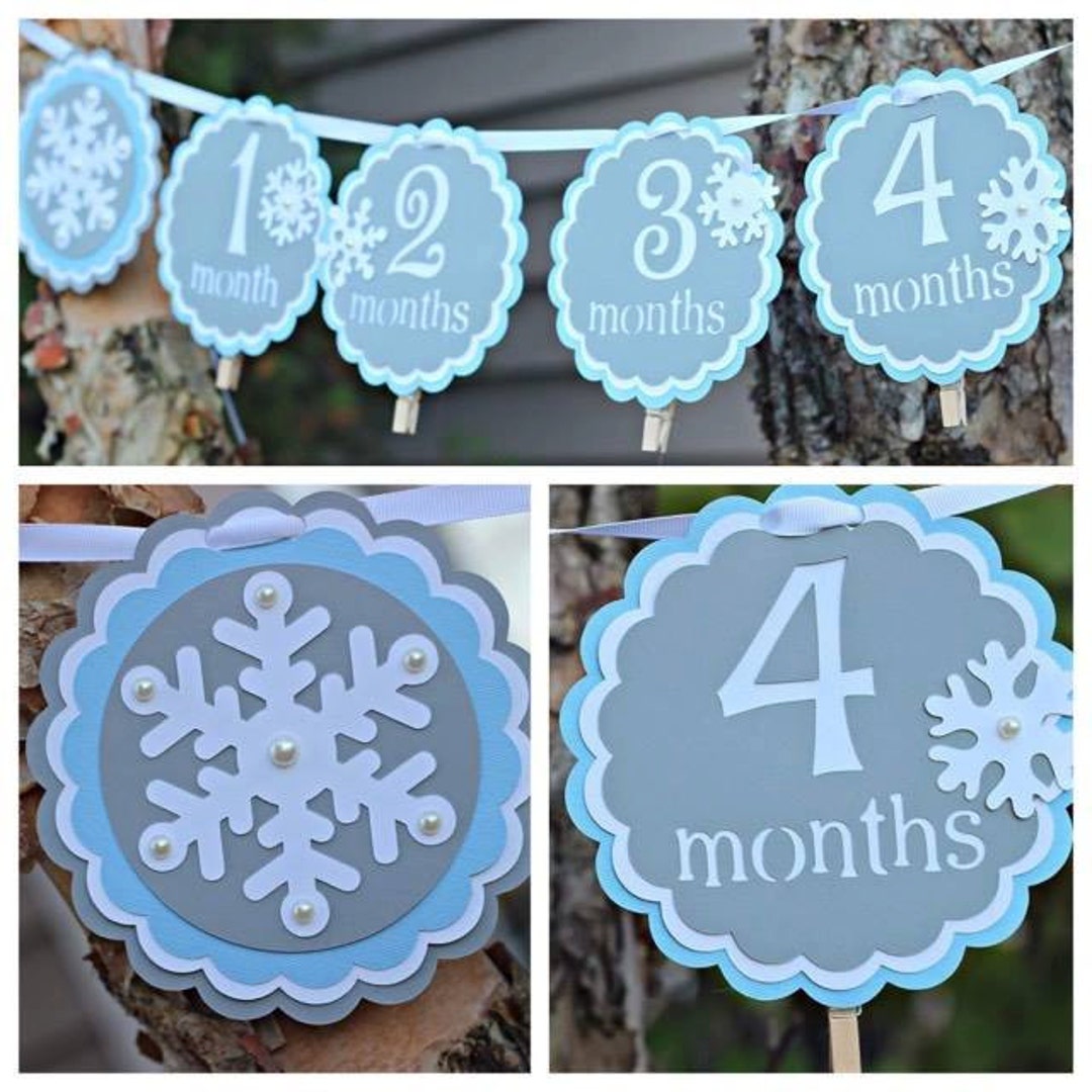 BOY WINTER ONEDERLAND Birthday Party Decorations 12 Month Etsy