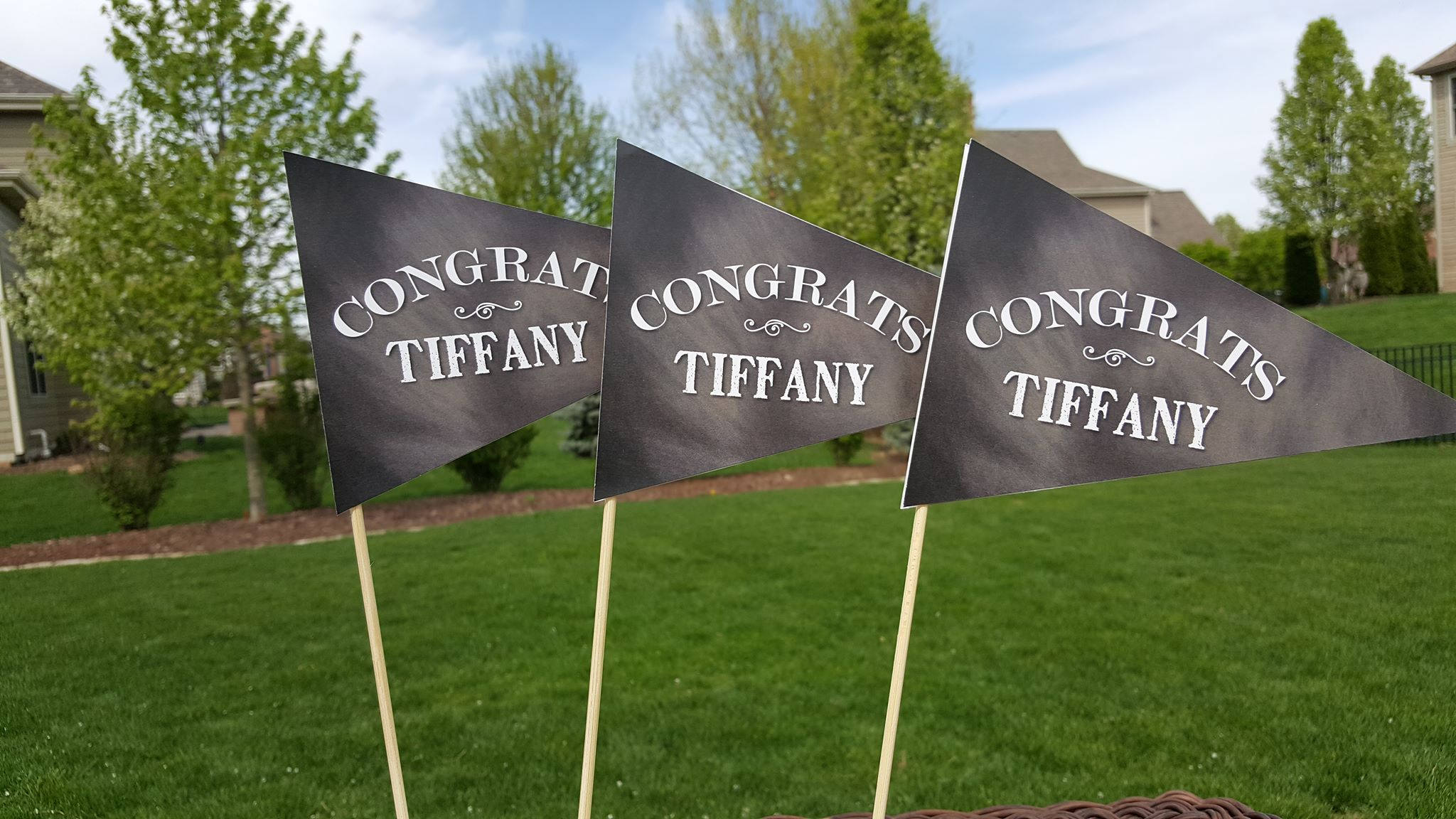 GRADUATION PARTY DECORATIONS, Graduation Centerpiece, Grad Pennant Flag Centerpiece  Custom Graduation Party Decor