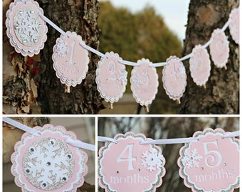 GIRL WINTER ONEDERLAND Birthday Party Decorations, 12 Month Photo Memory Banner, 1st Year Banner, Month to Month Banner, Pink and Silver