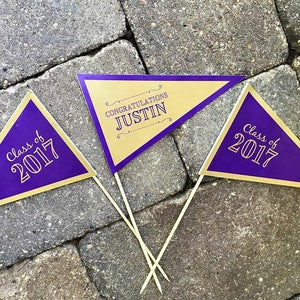 Graduation Centerpiece Sticks, Grad Party Decorations, Class of 2024, Purple and Gold, School Colors