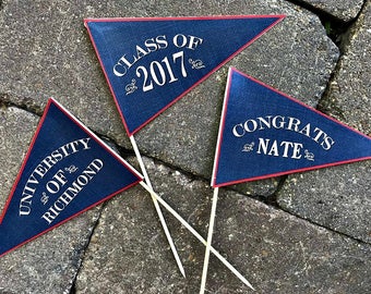 Personalized Custom Graduation Pennant Flag Centerpiece Sticks, ANY SCHOOL COLORS!
