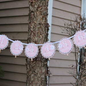 May include: A decorative banner featuring scalloped circular cards in light pink and grey, strung on a white ribbon. Each card displays a number from one to seven and the word months, accented with white snowflake illustrations and silver borders.