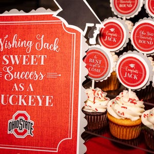 Graduation Cupcake Toppers, Graduation Party Decorations, Class of 2025, Any School Colors!