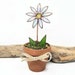see more listings in the Flower Pots section