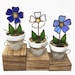 see more listings in the Flower Pots section