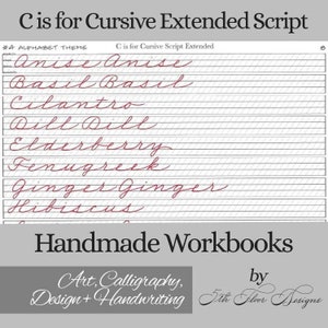 C is for Cursive Extended Script Workbook