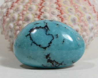 Turquoise Blue Moon 24x16x6.7mm  Hand Cut Natural Gemstone Cabochon Turquoise Cabs