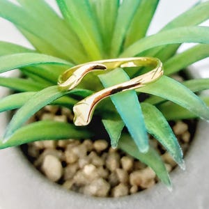 Può includere: Un anello aperto dorato con un design attorcigliato. L'anello è in metallo e ha una finitura liscia e lucida.