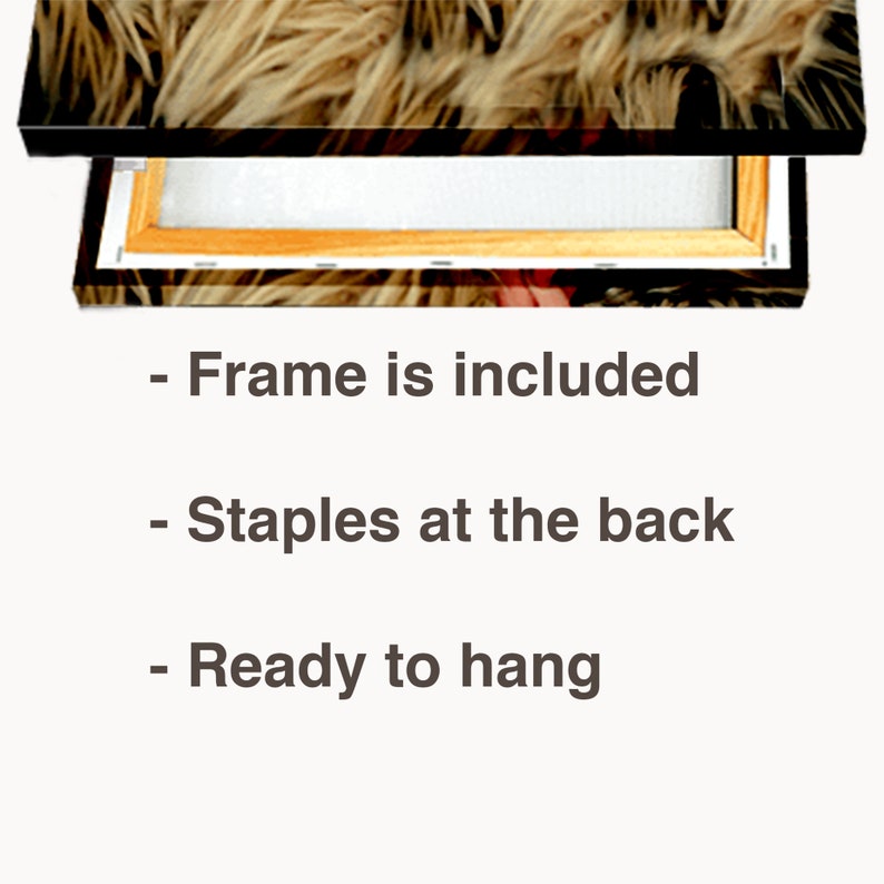 Canvas Art Abstract Stretched Home Decor Canvas Print Latin Jazz Music