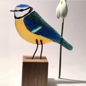 Fused glass bluetit, perfect gift for bird lovers