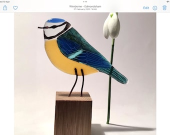 Fused glass bluetit, perfect gift for bird lovers
