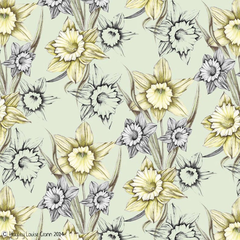 SALE Daffodil Gift Wrap Wrapping Paper Nature Wrap Etsy