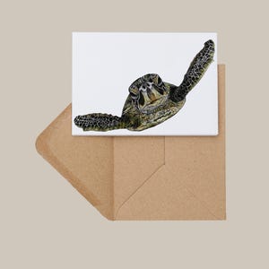 Carte de voeux tortue