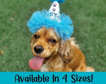 May include: A brown and white dog wearing a blue and white party hat with the word "Rey" on it. The hat has a blue tulle ruffle around the base. The dog is looking at the camera with its tongue sticking out. Available in 4 sizes!