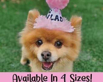 May include: A small, fluffy dog wearing a pink and white birthday hat with black paw prints and the word "Vlad" on it. The dog is looking at the camera with a happy expression. Available in 4 sizes.