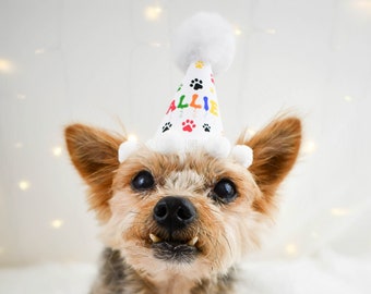 Small dog birthday hat clearance