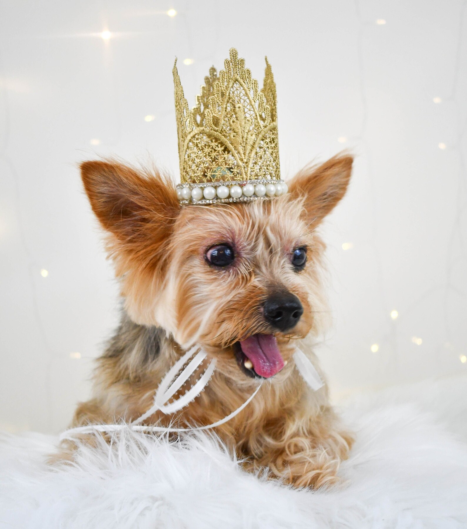 Dog Birthday Crown Dog Party Hat Dog Wedding Attire Dog Etsy