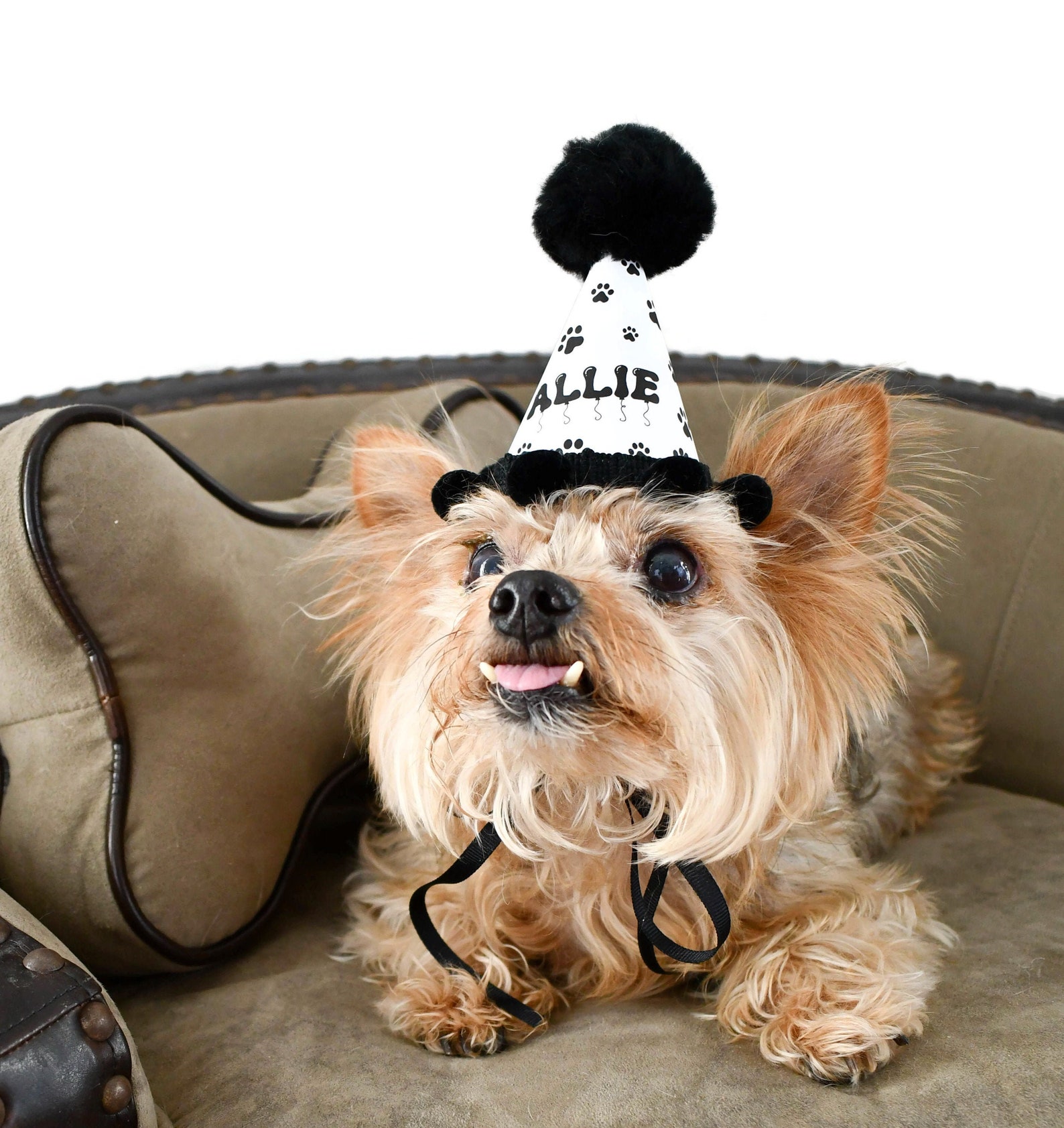 Personalized Dog Birthday Hat Party Hat for Dog Puppy Party Etsy