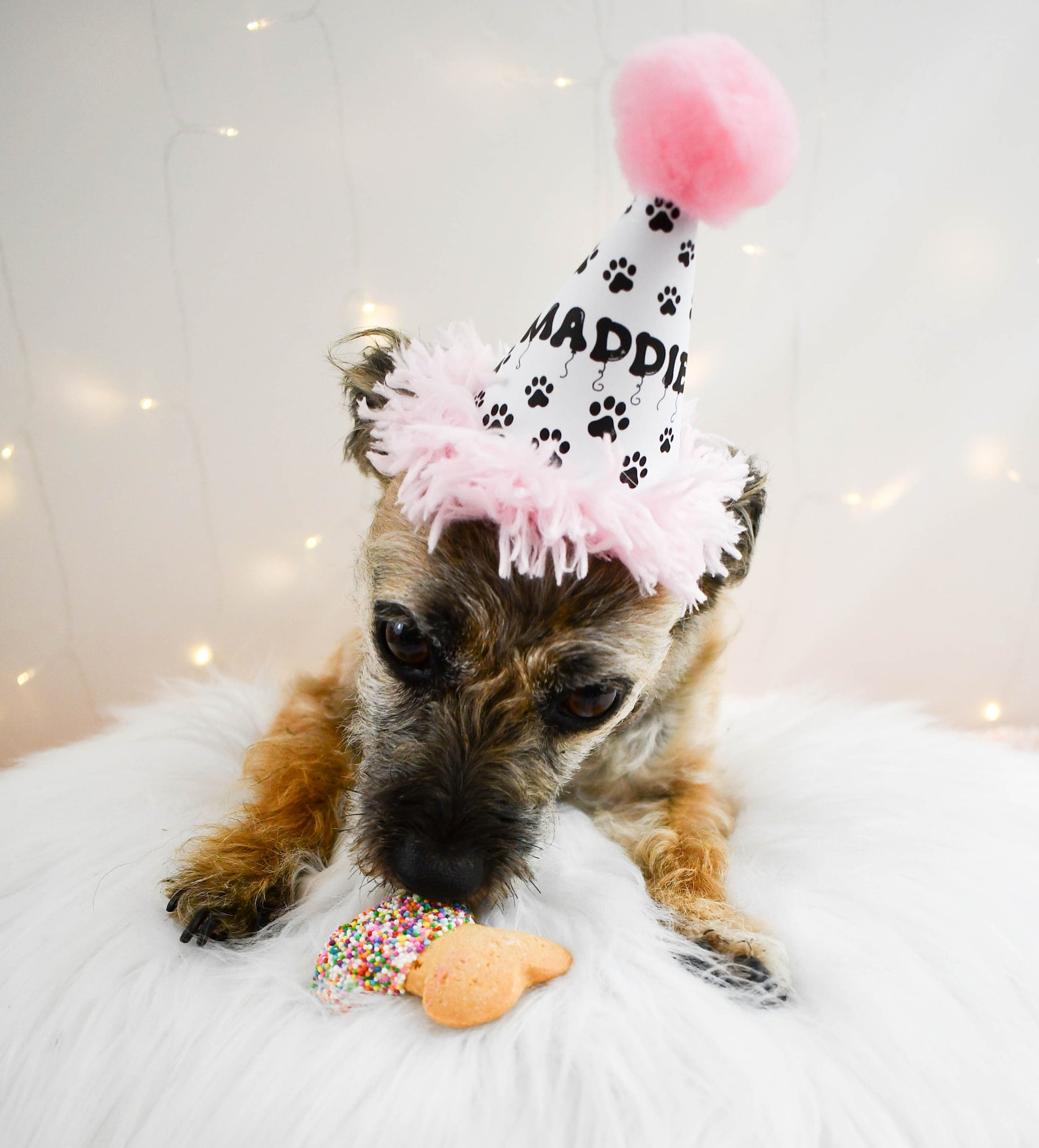 Personalized Dog Birthday Hat Party Hat for Dog Puppy Party Etsy