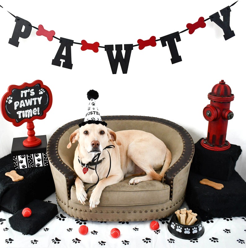 Personalized Dog Birthday Hat Party Hat for Dog Puppy Party Etsy