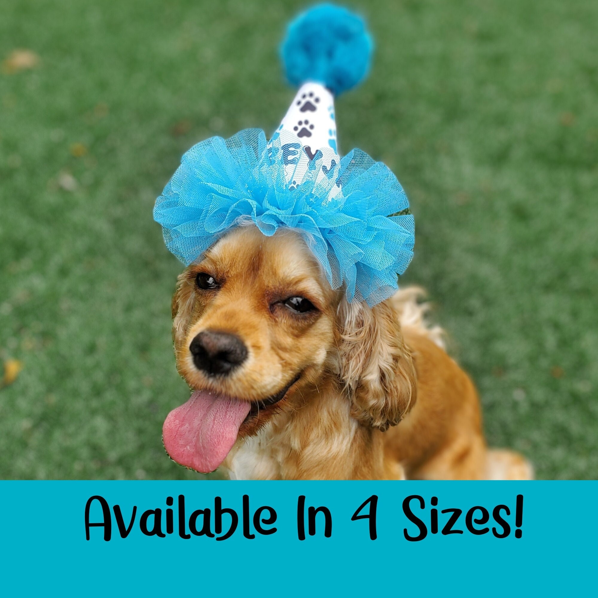 CBM Dog Party Hat Set - 11pc Birthday Accessories (Hats & Crowns)