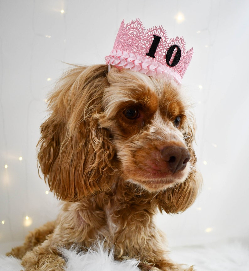 Dog Birthday Hat Personalized Dog Crown Pink Dog Party Hat Etsy