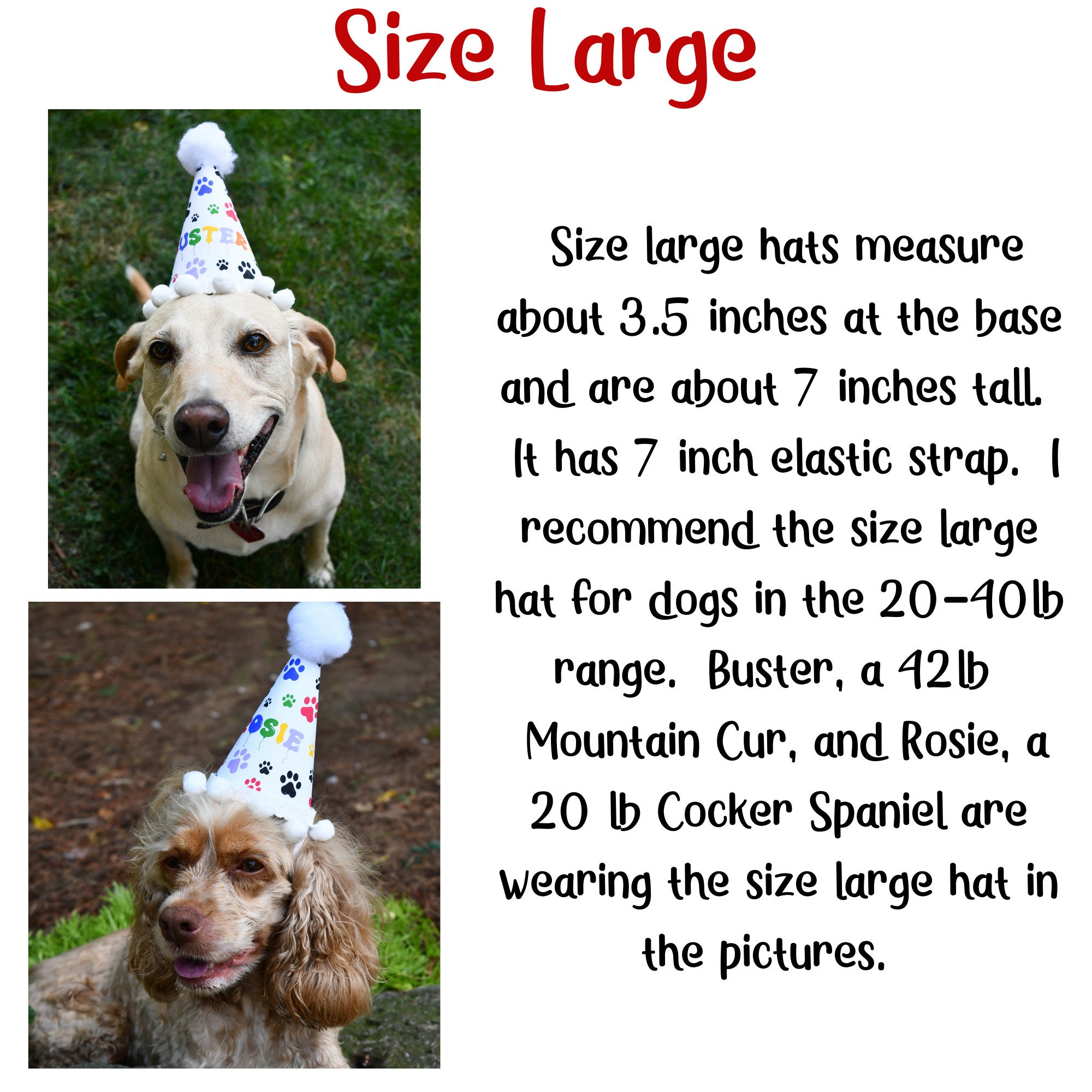 Personalized Rainbow Dog Birthday Hat Party Hat for Dog Etsy UK