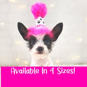 Personalized Dog Party Hat for Dog Birthday Party, Dog Birthday Hat