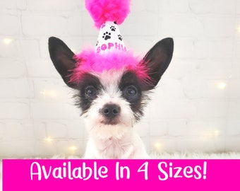 Personalized Dog Party Hat for Dog Birthday Party, Dog Birthday Hat