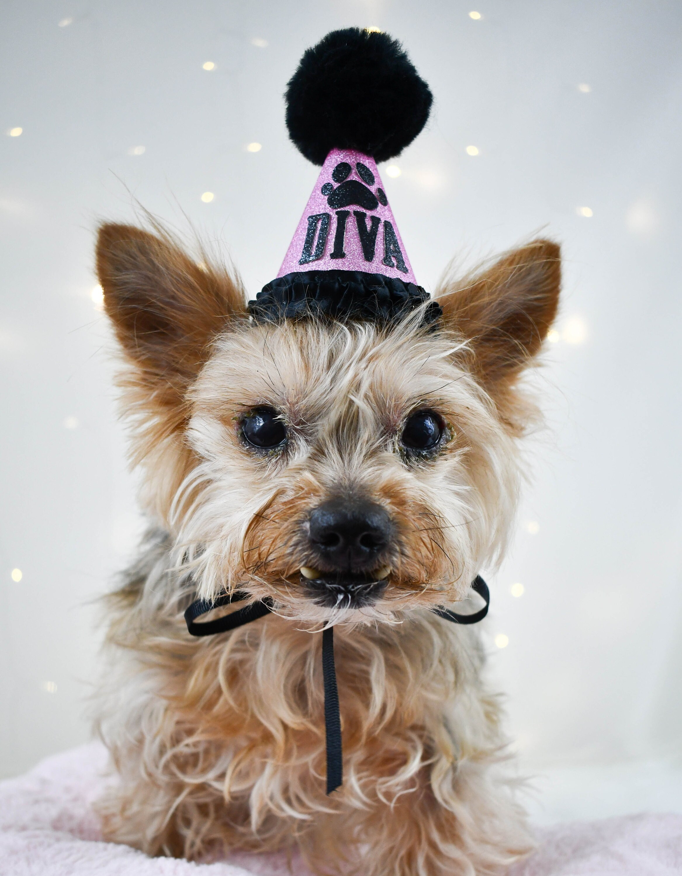 Pink Dog Birthday Hat Dog Party Hat Puppy Birthday Party Etsy