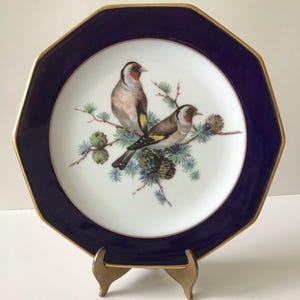 Vintage Winterling Kirchenlomitz Decor Plate Made in Bavaria Echt Kobalt / Cobalt Blue and White Decorative Plate / Portrays Beautiful Birds