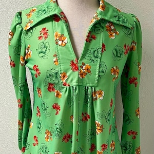 May include: A vintage green dress with a V-neck and long sleeves. The dress is adorned with a floral pattern in red, orange, and white. The dress is displayed on a mannequin.