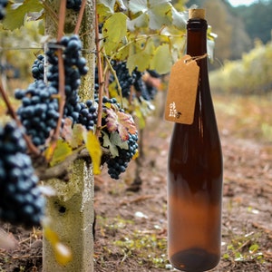 Puede incluir: Una botella de vidrio marr&oacute;n con un tap&oacute;n de corcho y una etiqueta de papel marr&oacute;n con el texto "Old Vine". La botella est&aacute; delante de un vi&ntilde;edo con vides verdes y racimos de uvas moradas.