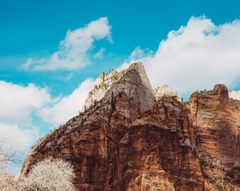 Open Road - Utah - America- Americana - Road Trip - Travel - USA - Mountains - Desert - West - Inspirational - Zion National Park