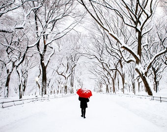 NYC - Central Park Winter - Umbrella, Winter in New York City - The Mall in Central Park