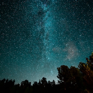 May include: A night sky filled with stars, including the Milky Way, visible above a dark silhouette of trees.