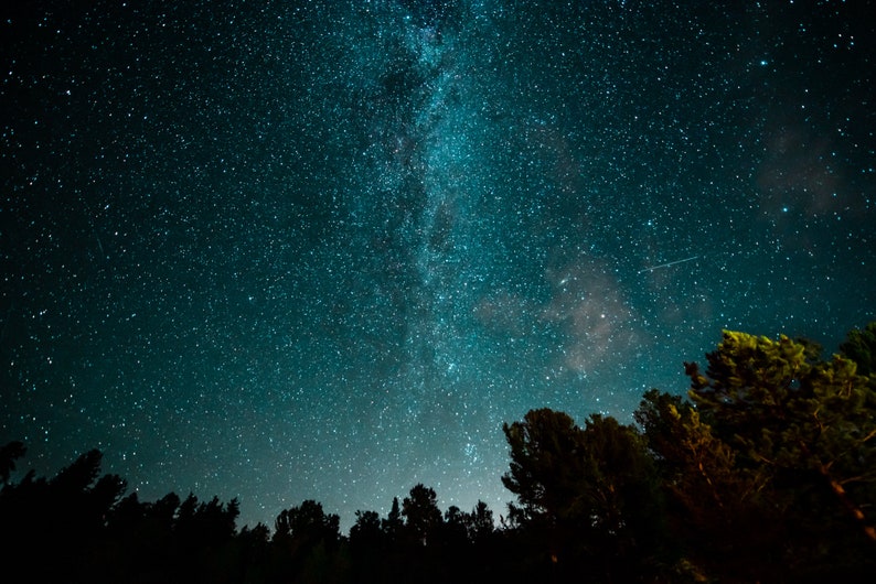 May include: A night sky filled with stars, including the Milky Way, visible above a dark silhouette of trees.