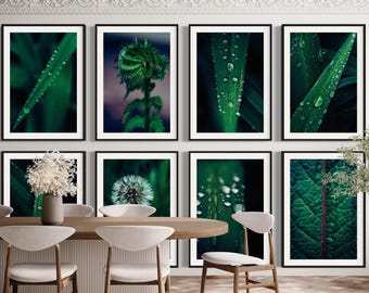 Botanical Gallery Wall Set of 8 prints, Green Leaves Photograph Prints, Minimalist Plants Set, Printable Wall Art, Home Decor