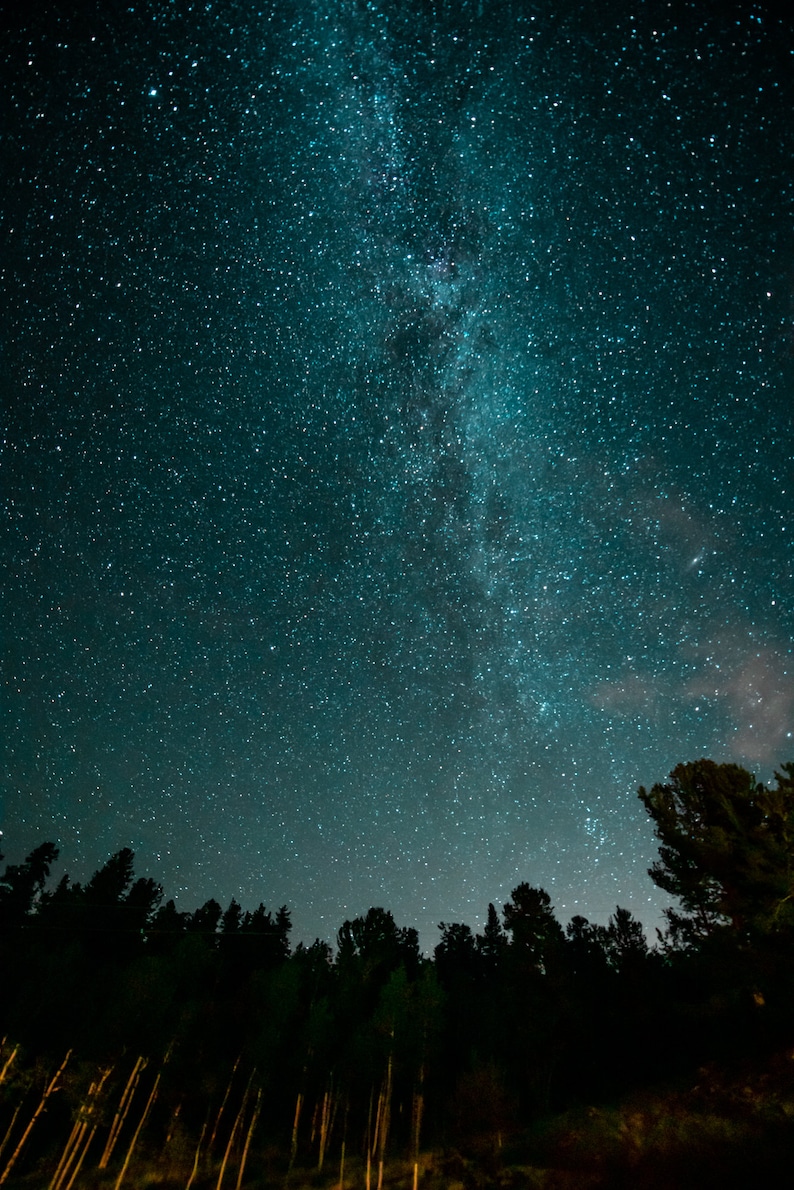 May include: A dark night sky with a bright band of the Milky Way galaxy visible above a silhouette of a forest.