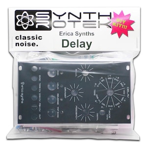 Erica Synths Delay DIY Kit