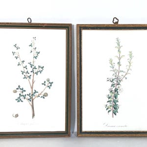 May include: A white ceramic mug with a black handle and the text "But First, Coffee" in a handwritten style. The mug is on a white surface. The mug is 4 inches tall.