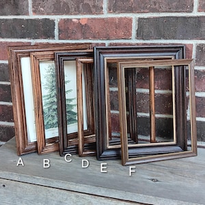May include: A collection of six rectangular wooden picture frames labeled A through F, featuring varying shades of brown and black wood grain finishes. Frame B contains a botanical print of a pine tree, while the others are empty frames.